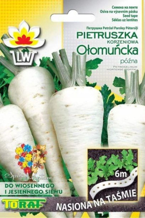 Pietruszka Ołomuńcka nasiona na Taśmie 6m Toraf