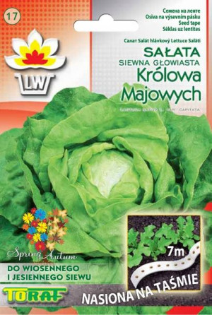 Sałata Królowa Majowych nasiona na taśmie 7m Toraf