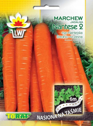 Marchew Nantese Nantejska nasiona na Taśmie 6m