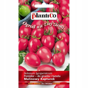 Pomidor Malinowy Kapturek MINI nasiona PlantiCo