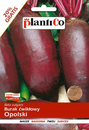 Burak Opolski Podłużny nasiona buraka PlantiCo