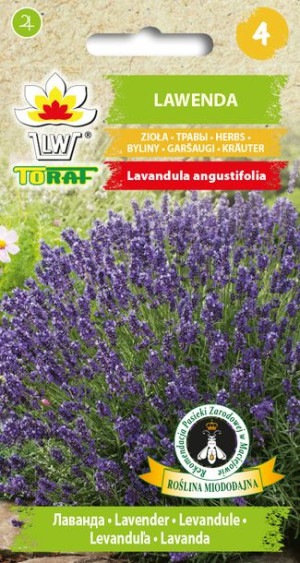 Lawenda lekarska zioło nasiona Lawendy Toraf