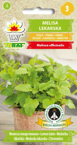 Melisa Lekarska zioło nasiona Melisy Toraf