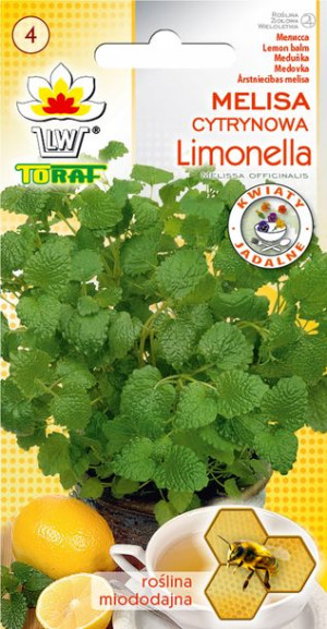 Melisa Cytrynowa zioło nasiona Melisy Toraf 0.5g