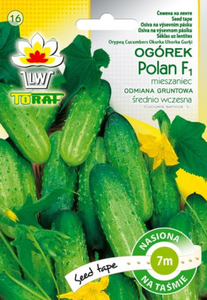 Ogórek Polan nasiona ogórka na taśmie 7m Toraf