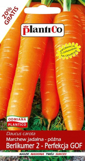 Marchew Perfekcja Berlikumer późna nasiona PlantiCo