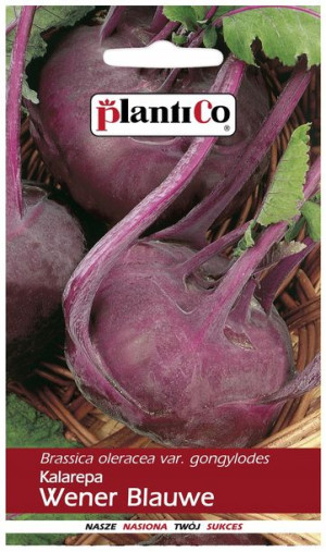Kalarepa czerwona Wener Blauwe nasiona PlantiCo
