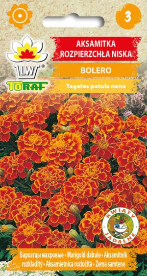Aksamitka niska Bolero żółto-pomarańczowa nasiona Toraf