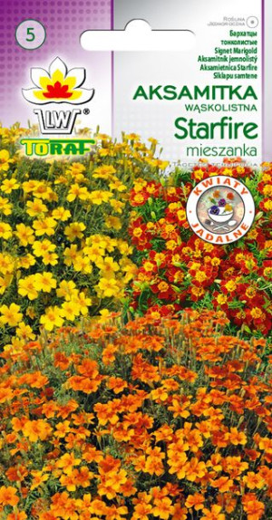Aksamitka wąskolistna Starfire MIX nasiona Toraf