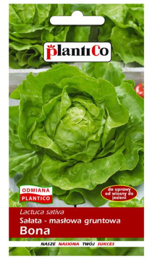 Sałata  Bona masłowa gruntowa nasiona PlantiCo 1g