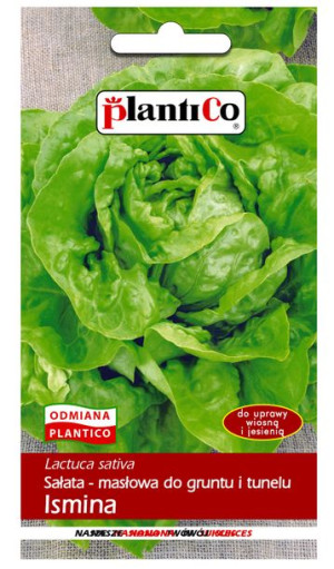 Sałata Ismina do gruntu i tunelu nasiona PlantiCo 1g