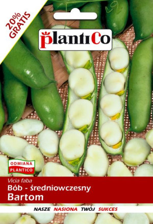 Bób Bartom wczesny nasiona bobu PlantiCo