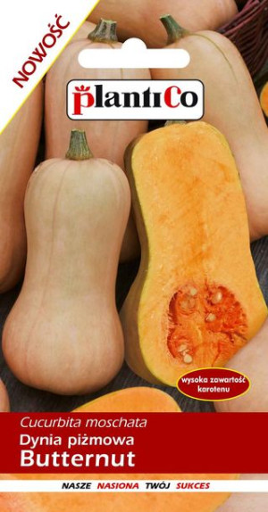 Dynia piżmowa Butternut nasiona PlantiCo