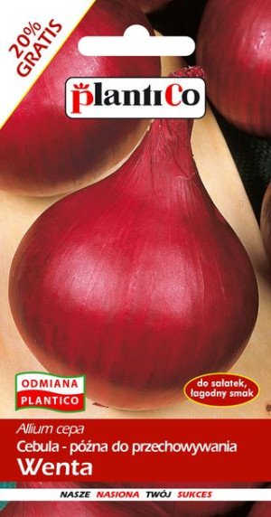 Cebula Wenta Czerwona nasiona cebuli PlantiCo