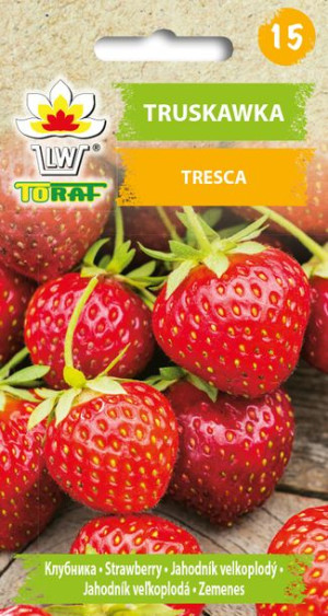 Truskawka Tresca nasiona 25szt Toraf