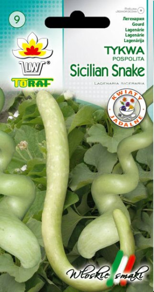 Tykwa pospolita Sicilian Snake nasiona Toraf 10 sztuk