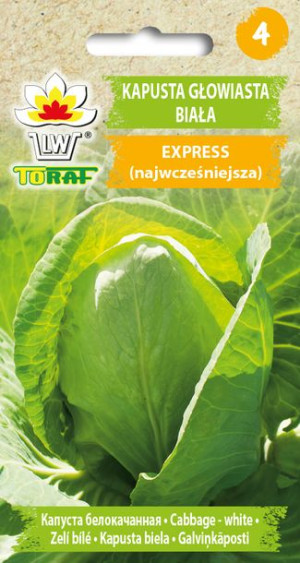 Kapusta biała Express wczesna stożkowa nasiona Toraf