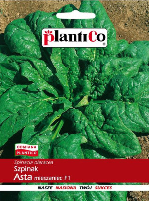 Szpinak Asta F1 wczesny nasiona PlantiCo 10g