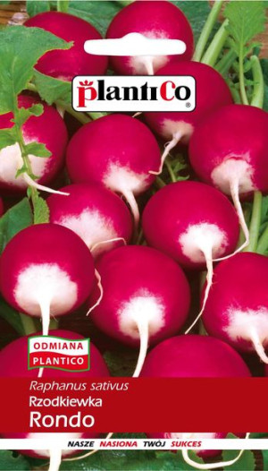 Rzodkiewka Rondo nasiona PlantiCo 10g