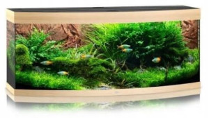 Juwel Vision 450l 151x61x64 Akwarium Drewno 2x23W