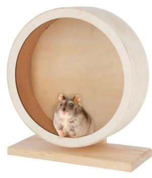 Kołowrotek Karuzela Eco dla Chomika Gryzoni 22cm