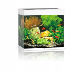 Juwel Lido 120l 61x41x58cm Zestaw Akwarium Białe