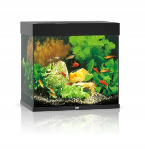 Juwel Lido 120l 61x41x58cm Zestaw Akwarium Czarne