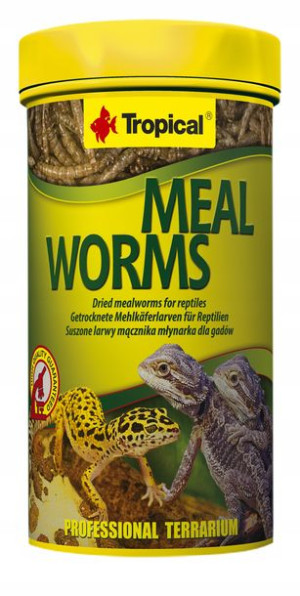 Tropical Meal Worms 250ml