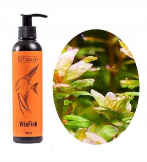 GT AQUA VITA FISH 200ML Witaminy dla Ryb