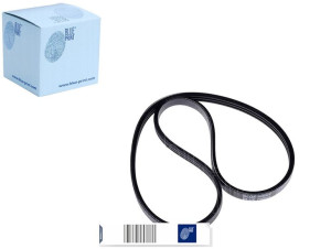 Pasek Wielorowkowy (3pk963) Blue Print