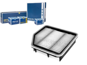 Filtr Powietrza Toyota Lexus Is 250 05- Meyle