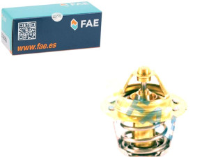 Termostat Fae 1634187208000 1634187793000 1634187