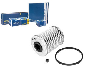 Filtr Paliwa Renault 2,5tdi Meyle