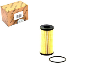 Filtr Oleju Nissan Interstar Primastar Qashqai I X
