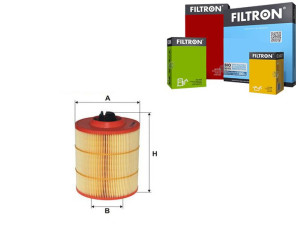 Filtr Powietrza Ford Filtron