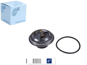 Termostat [blue Print]