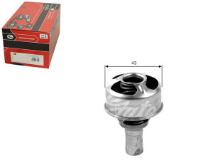 Termostat Renault Gates