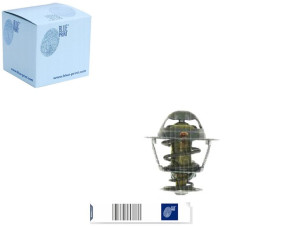 Termostat Nissan Blue Print