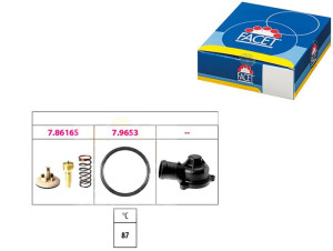 Termostat Facet 1880617k 580617k