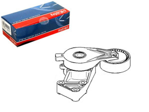 Napinacz Paska Wielorowkowego Audi A3 Ford Galaxy