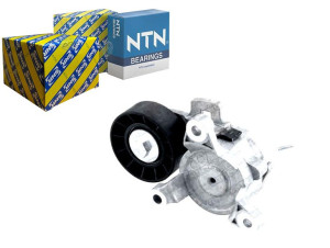 Napinacz Paska Wielorowkowego Citroen C4 C4 Grand