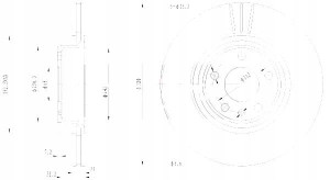 Tarcze Ham. 2szt Vw P. A6 04- 321mm Maxgear