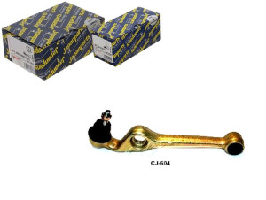 Wahacz Zawieszenia Japanparts 4806997202 7106603l