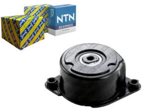 Napinacz Paska Wielorowkowego Bmw 3 (e46) 5 (e39)