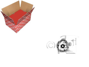 Wiatrak Wentylatora Mercedes W124 20 Febi Bilstein