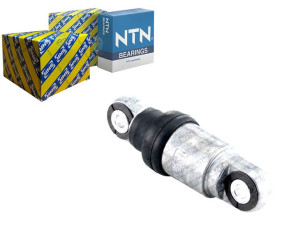 Napinacz Paska Wielorowkowego Bmw 3 (e46) 5 (e39)