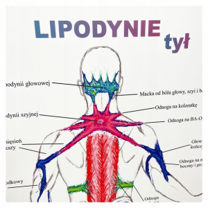 Tablica anatomiczna plakat LIPODYNIE TYŁ