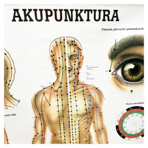 Tablica anatomiczna laminowana AKUPUNKTURA