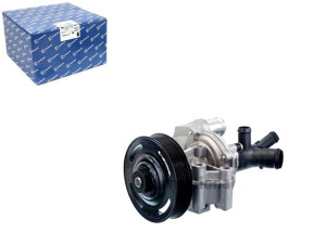 Pompa Wody Ford 2,4tdci Transit 00- (z Obudową) Pi