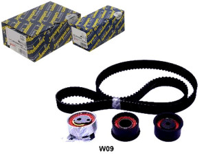 Zestaw Paska Rozrządu Japanparts Kctw09 530035810